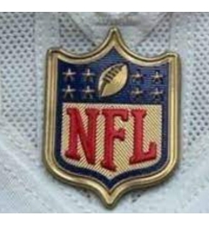 Youth Detroit Lions Gold NFL Logo Patch Biaog