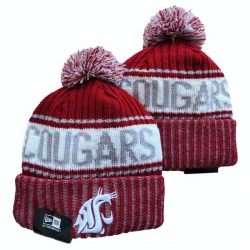 NCAA Beanies 043